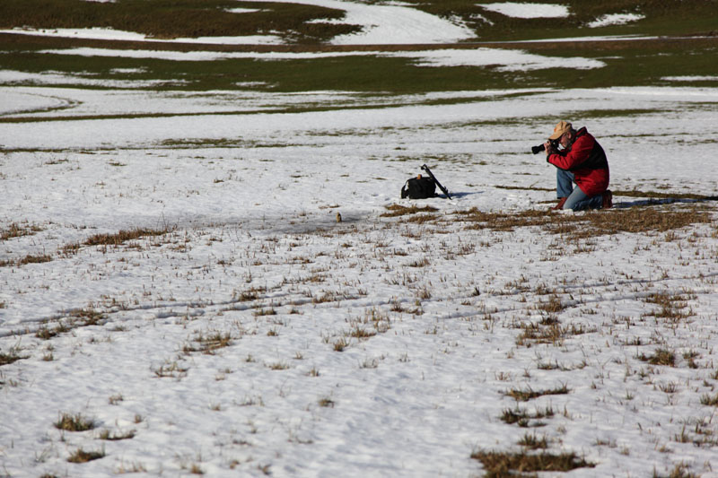 Fotografen in Action 079